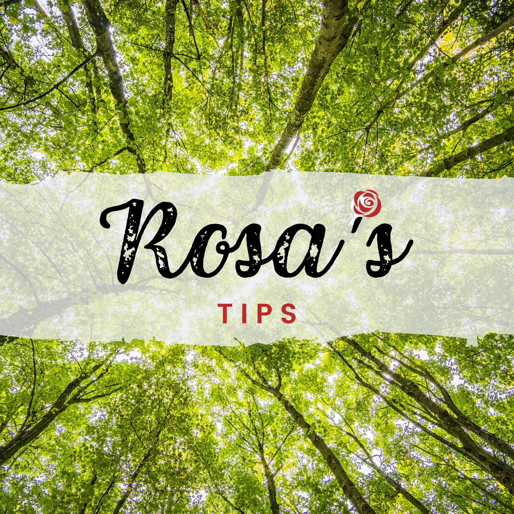 Rosa's Tips 🌹 + Ever Green Cloth 💚