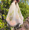 100% Natural Cotton Mesh Bag - Ever Green Cloth - In Use