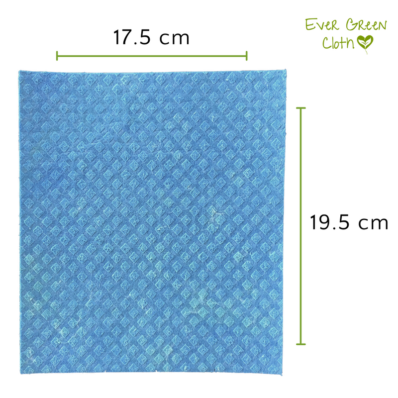 Tortuguita Ecológica Paño Esponja Regular Ever Green Cloth (Paquete de 3 paños) - MEXICO